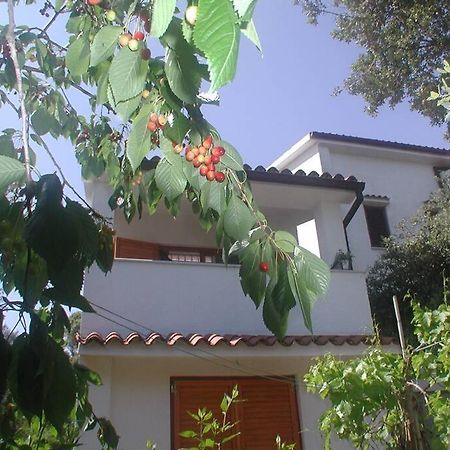 Stinjan-Studio Apartment Petric بولا المظهر الخارجي الصورة