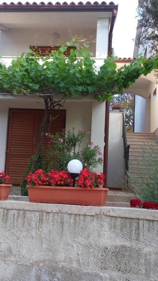 Stinjan-Studio Apartment Petric بولا المظهر الخارجي الصورة