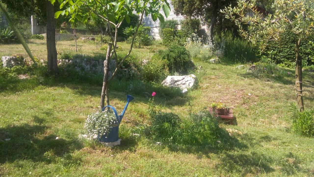 Stinjan-Studio Apartment Petric بولا المظهر الخارجي الصورة